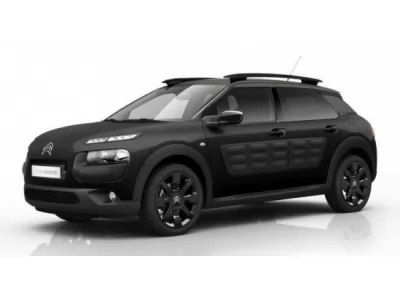  C4 Cactus (2014 - 2020)