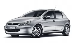 Dywaniki wewnętrzne do Peugeot 307 2001 - 2005 I generacja EU Hatchback dorest 5-drzwiowy Dywaniki wewnętrzne do Peugeot 307 2001 - 2005 I generacja EU Hatchback dorest 5-drzwiowy