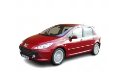 Dywaniki wewnętrzne do Peugeot 307 2005 - 2008 I generacja EU Hatchback reszta 5-drzwiowa Dywaniki wewnętrzne do Peugeot 307 2005 - 2008 I generacja EU Hatchback reszta 5-drzwiowa
