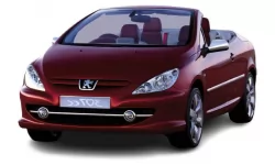 Dywaniki wewnętrzne do Peugeot 307 CC 2001 - 2008 I generacja EU Cabriolet (Coupe) Dywaniki wewnętrzne do Peugeot 307 CC 2001 - 2008 I generacja EU Cabriolet (Coupe)