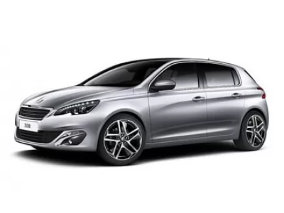  308 (2013 - 2017)