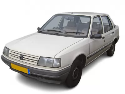  309 (1985 - 1989)