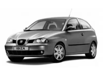  Ibiza (2002 - 2008)