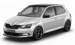 Dywaniki wewnętrzne do Skody Fabii 2014 - 2021 III generacji EU Hatchback Dywaniki wewnętrzne do Skody Fabii 2014 - 2021 III generacji EU Hatchback