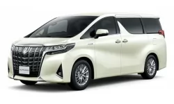 Dywaniki wewnętrzne do Toyota Alphard AH30 2018-2023 III generacja Japonia Podstawka do minivana 7-osobowa prawa kierownica