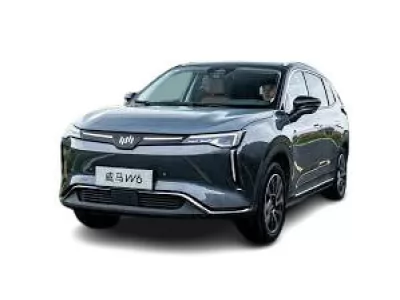  W6 (2021 - …)