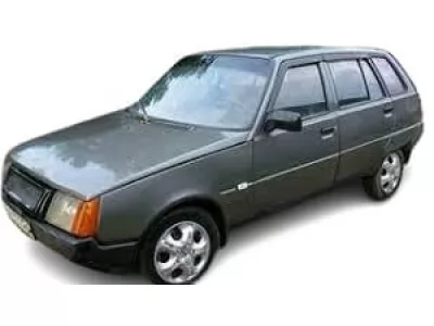  Дана (1994-2011)